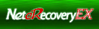 NetEX LOGO